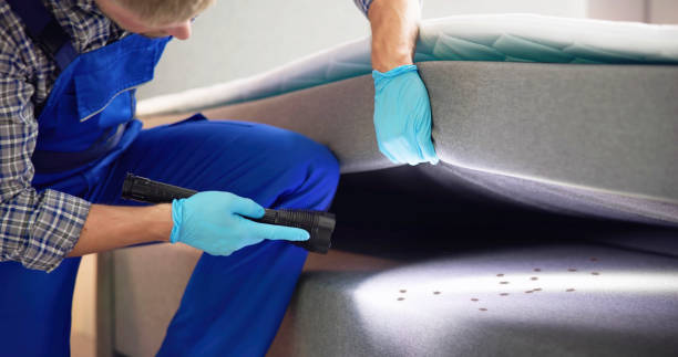 Best Wasp Removal Services  in Lancaster, SC