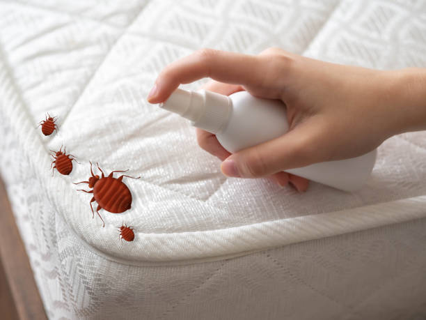 Best Pest Removal Services  in Lancaster, SC