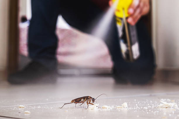 Best Cockroach Control Services  in Lancaster, SC
