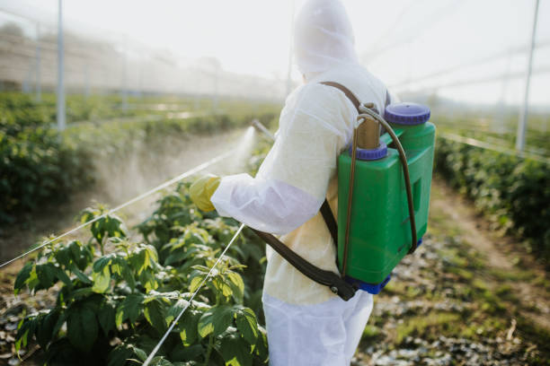 Best Pest Control Near Me  in Lancaster, SC